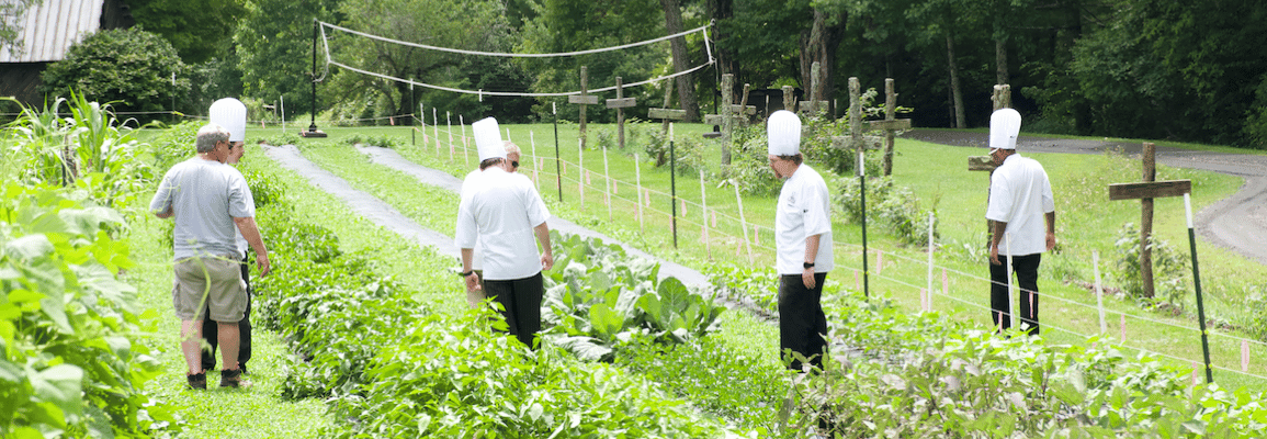 Chefs at App State's Farm